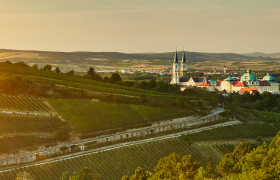 Klosterneuburg, Wienerwald, © Niederösterreich Werbung/Michael Liebert Die sanften Hügel und die üppigen Weinreben schaffen eine malerische Kulisse, die zum Verweilen einlädt. In der Ferne erheben sich majestätische Gebäude, die von der Geschichte und Kultur der Region zeugen. Ein Ort, an dem Natur und Tradition harmonisch miteinander verschmelzen.