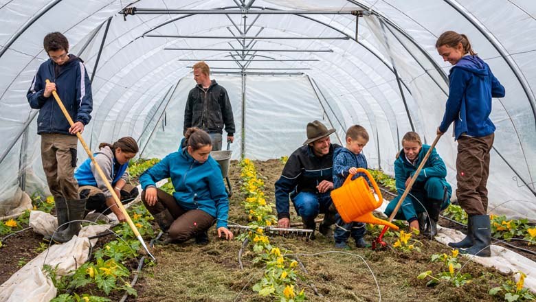 Gutes vom Gutshof, © Gutes vom Gutshof Gutes vom Gutshof, © Gutes vom Gutshof