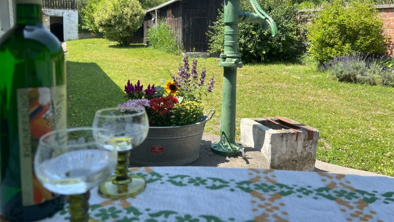 Innenhof mit Blick Richtung Garten, © Waltraud Forstner Ein grüner Innenhof mit einer alten Wasserpumpe, Blumen und einem Tisch mit Weinflasche und Gläsern.