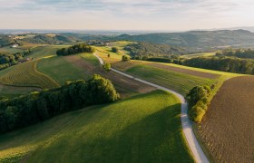 Landschaft bei Hattmannsdorf, © Wiener Alpen, Roman Königshofer Photography Luftaufnahme einer hügeligen Landschaft mit Feldern und Wäldern in Hattmannsdorf, Hochneukirchen.