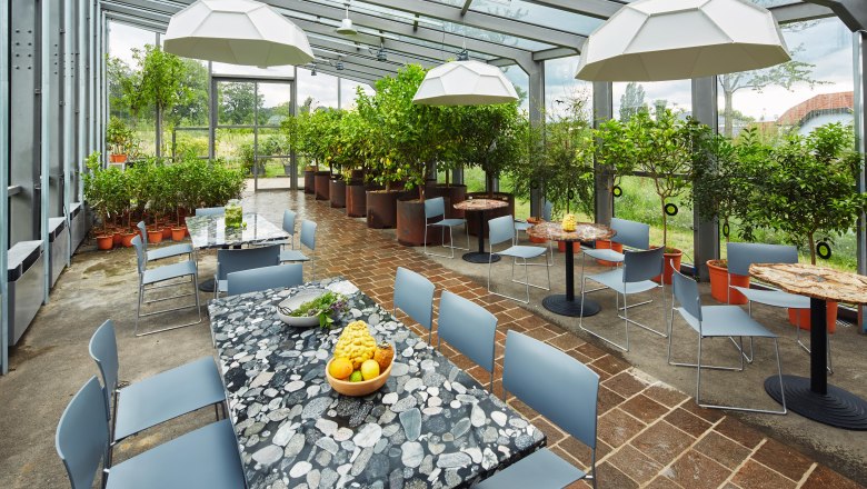 Die Orangerie von Gut Guntrams ist gut für kleine Events geeignet, © Herbert Lehmann Innenansicht einer Orangerie mit Tischen, Stühlen und Pflanzen.