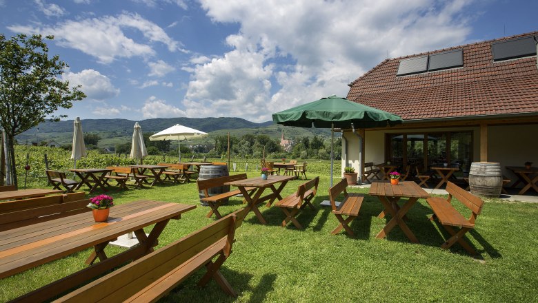 Heurigengastgarten der Familie Kendl, © Monika Loeff Heurigenbänke auf der grünen Wiese
