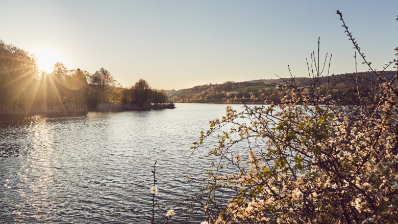 Der Wienerwaldsee: das größte stille Gewässer im Wienerwald., © Andreas Hofer Der Wienerwaldsee: das größte stille Gewässer im Wienerwald., © Andreas Hofer