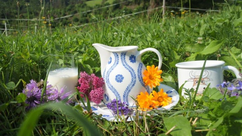 Bio-Heumilch, © Sabine Baumann Bio-Heumilch, © Sabine Baumann