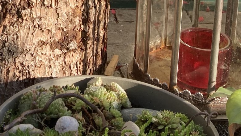 img_0350, © Frühstückspension Gerstbauer img_0350, © Frühstückspension Gerstbauer