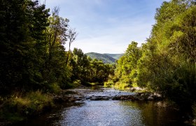 Helenental Schwechat, © Wienerwald Helenental Schwechat, © Wienerwald