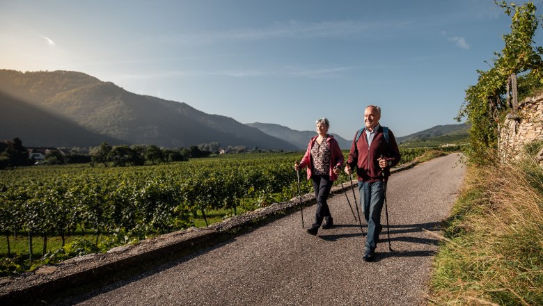 Gästehaus-Winzerhof Bernhard, © Jolly Schwarz Ein älteres Paar wandert mit Stöcken auf einem Weg durch Weinberge, im Hintergrund Berge und blauer Himmel.