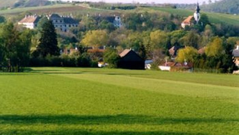 Ladendorf, © Gemeinde Ladendorf Grüne Wiesen mit Dorf und Kirche im Hintergrund.