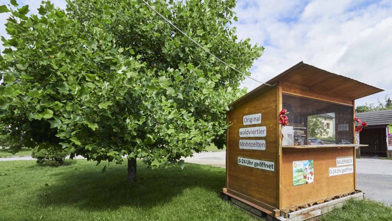 Bauernbox, © Marktgemeinde Bad Traunstein Bauernbox, © Marktgemeinde Bad Traunstein