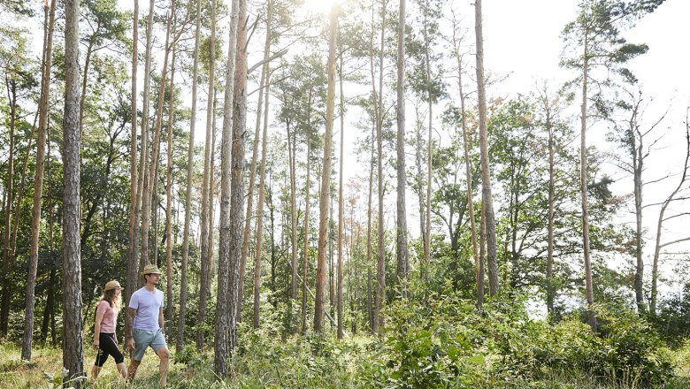 schonbergtourismus-wandernt1_img_1711_crupertpessl_web, © Rupert Pessl schonbergtourismus-wandernt1_img_1711_crupertpessl_web, © Rupert Pessl