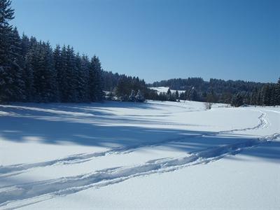 Schneeschuhwandern in Langschlag, © Renate Hahn Verschneite Landschaft mit Schneeschuhspuren und Wald im Hintergrund.