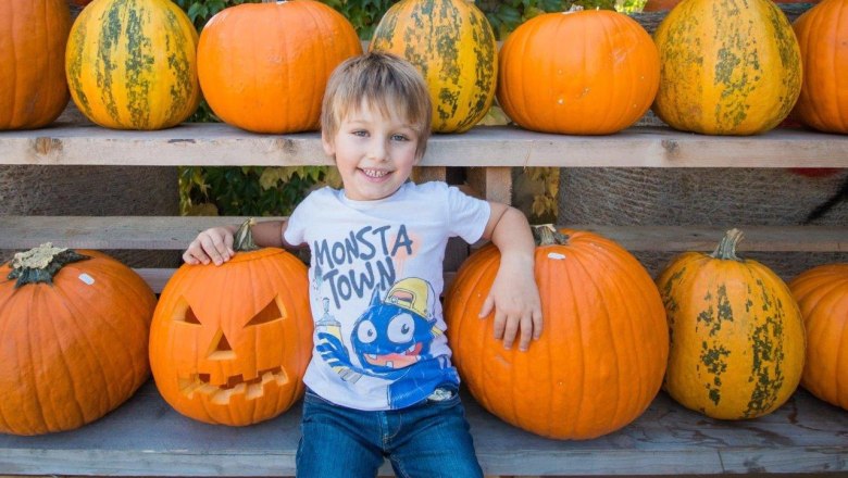 Kürbisschnitzen, © Wurzers Genuss- und Erlebnishof Kürbisschnitzen, © Wurzers Genuss- und Erlebnishof