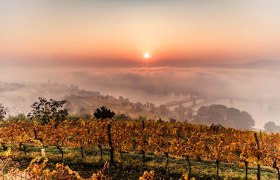 Oberhalb von Krems im Herbst, © Robert Herbst Oberhalb von Krems im Herbst, © Robert Herbst