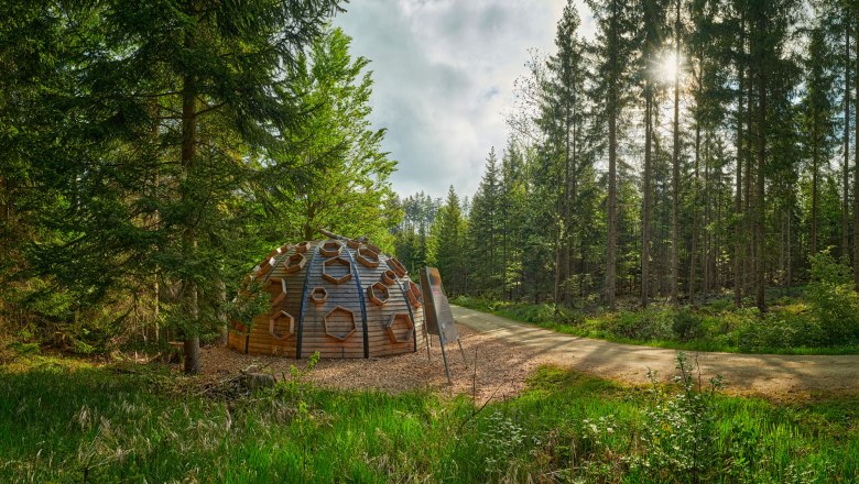 Nebelstein Erlebnis-Wanderweg, © Gemeinde Moorbad Harbach, Reinhard Podolsky Nebelstein Erlebnis-Wanderweg, © Gemeinde Moorbad Harbach, Reinhard Podolsky