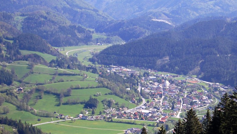 Panorama Türnitz, © Fam. Tröstl Panoramablick auf das Dorf Türnitz, umgeben von grünen Hügeln und Wäldern.