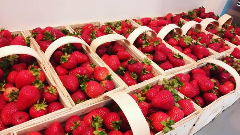 frische Erdbeeren, © frische Erdbeeren, © YOPI fresh frozen yogurt, Katrin Pilz frische Erdbeeren, © frische Erdbeeren, © YOPI fresh frozen yogurt, Katrin Pilz