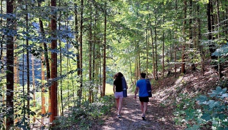 Waldbaden, © Karin Redlsteiner Waldbaden, © Karin Redlsteiner