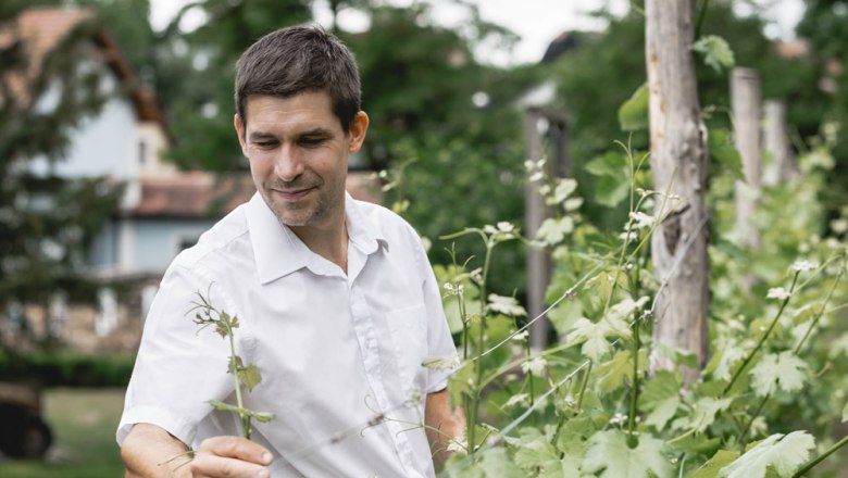 Wirt Otto Schindler, © Niederösterreich Werbung/David Schreiber Mann in weißem Hemd inspiziert Pflanzen in einem Garten.