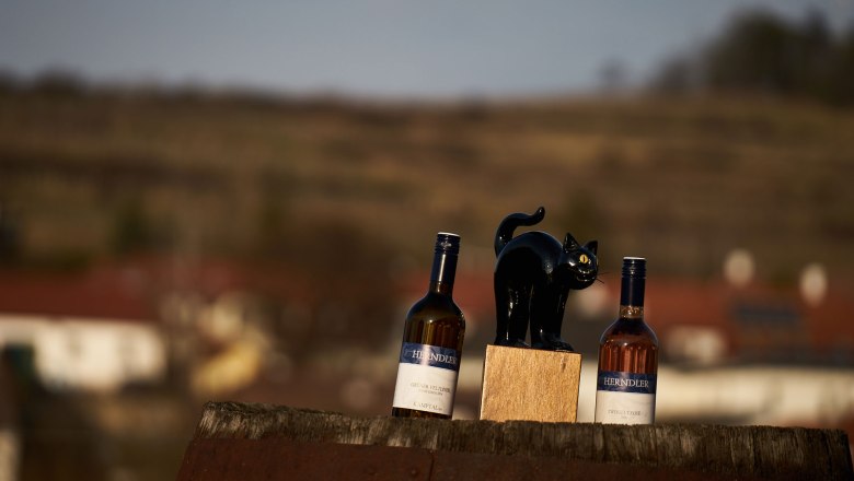 Weingut Thomas Herndler, © Christian Stachowitz Weingut Thomas Herndler, © Christian Stachowitz