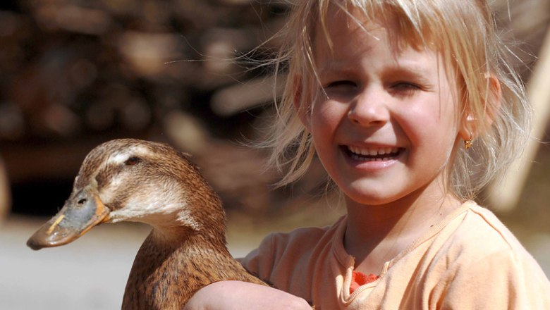 Die Enten sind sehr zutraulich, © zVg. Zwergerlhof Die Enten sind sehr zutraulich, © zVg. Zwergerlhof
