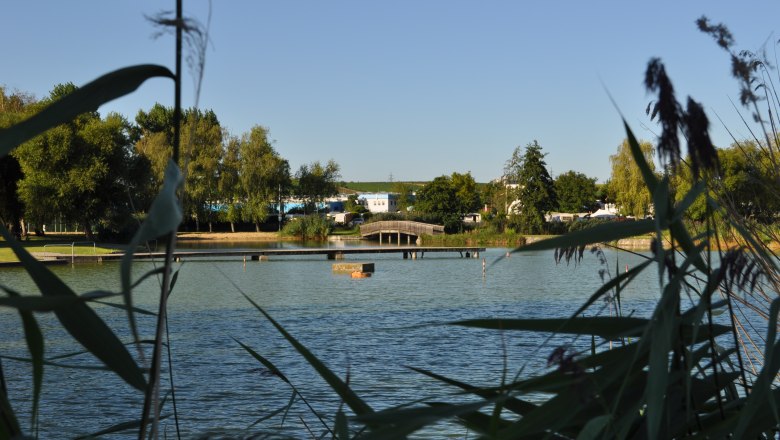 Badeteich Poysdorf, © Weinviertel Tourismus Ein ruhiger Badeteich mit Brücke und Bäumen im Hintergrund, umrahmt von Schilf.