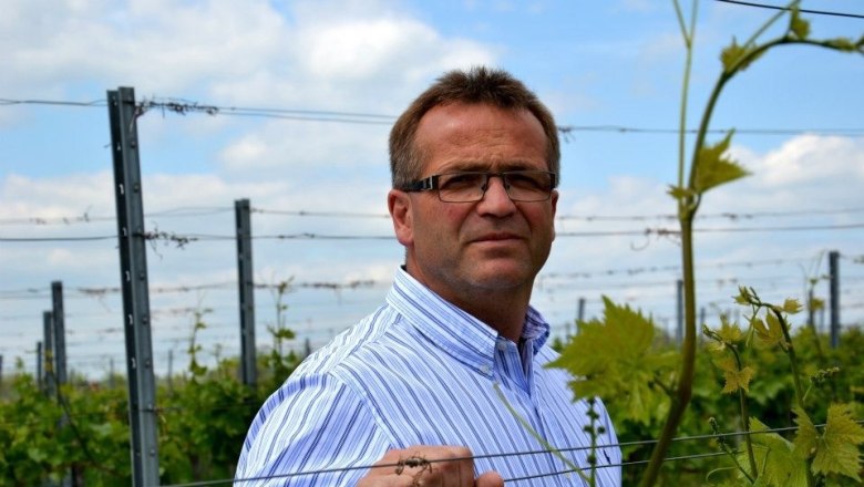 Winzer Günter Weilinger, © Weingut Günter Weilinger Mann im gestreiften Hemd steht in einem Weinberg.