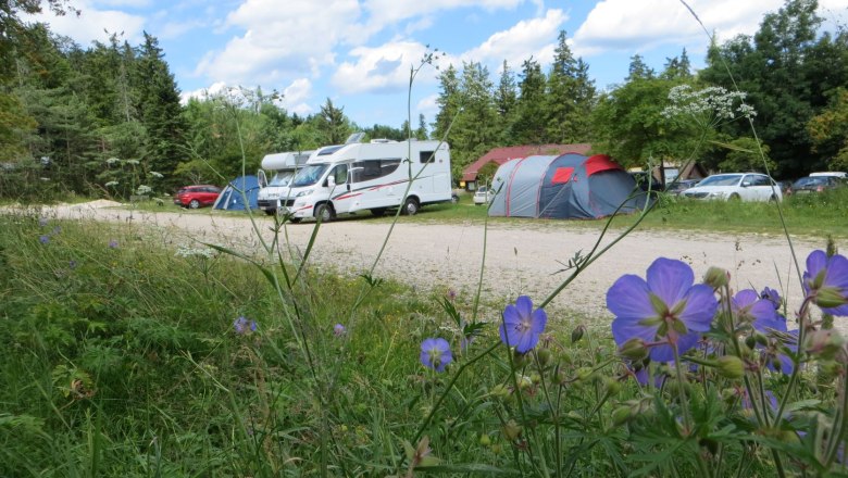 stellplatz-hw_web, © Naturpark Hohe Wand Campingplatz mit Wohnmobilen, Zelten und blühenden Blumen im Vordergrund.