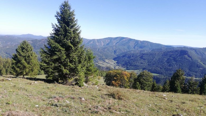 Aussicht auf Berglandschaft, © Familie Gasteiner Aussicht auf Berglandschaft, © Familie Gasteiner