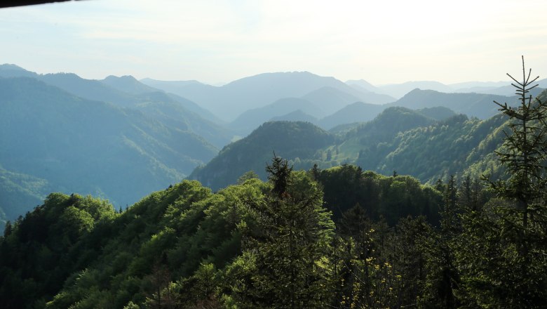 Aussicht von der Aussichtswarte Hochbärneck, © weinfranz.at Blick von der Aussichtswarte Hochbärneck auf bewaldete Hügel und Berge in der Ferne.