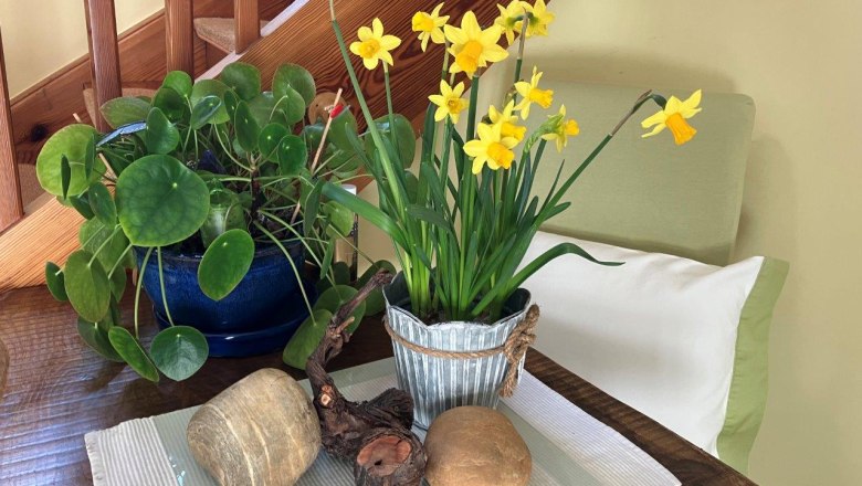 Gästehaus am Weinberg, © Familie Schlager Gästehaus am Weinberg, © Familie Schlager