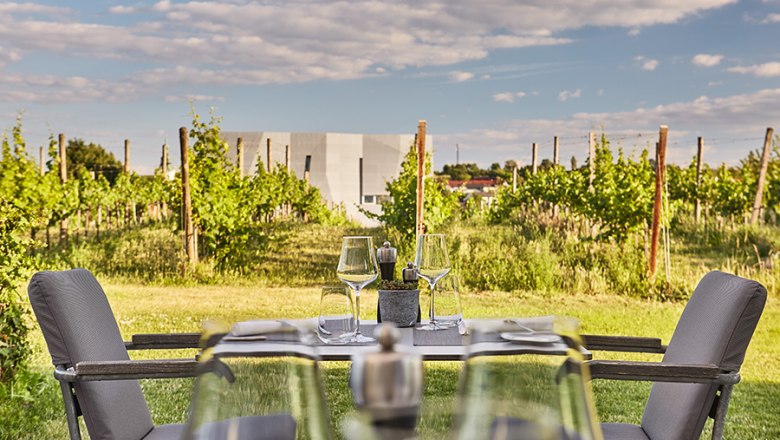 LOISIUM - Restaurant Vineyard mit Blick auf WeinWelt, © LOISIUM LOISIUM - Restaurant Vineyard mit Blick auf WeinWelt, © LOISIUM