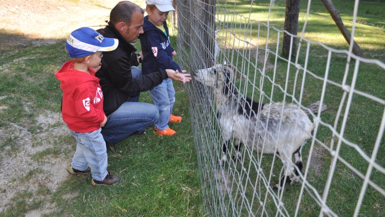 Tiergehege, © Reinhard Nieder Tiergehege, © Reinhard Nieder