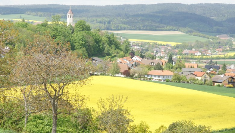 Obritzberg, © zVg Gemeinde Obritzberg-Rust Landschaft mit gelbem Rapsfeld, Dorf und Kirchturm im Hintergrund.