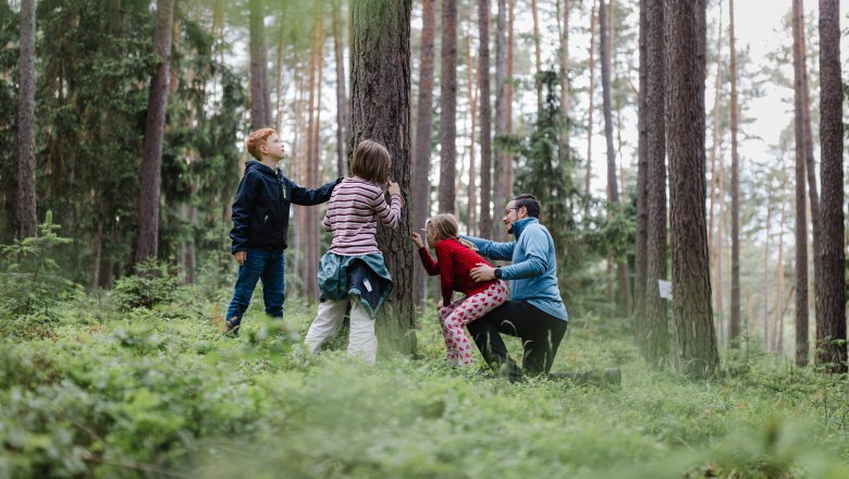 Kinder erkunden den Heilwald Göttweig, © Alexander Pfeffel Photography Eine Gruppe von Kindern und ein Erwachsener im Wald, die einen Baum betrachten.