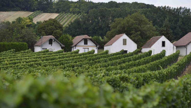 Kellergasse Prellenkirchen, Römerland Carnuntum, © Donau Niederösterreich Kellergasse Prellenkirchen, Römerland Carnuntum, © Donau Niederösterreich