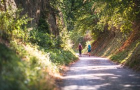 Themenweg "Natur und Stein" und Themenweg "Löss und Wein", © Wachau-Nibelungengau-Kremstal Themenweg "Natur und Stein" und Themenweg "Löss und Wein", © Wachau-Nibelungengau-Kremstal