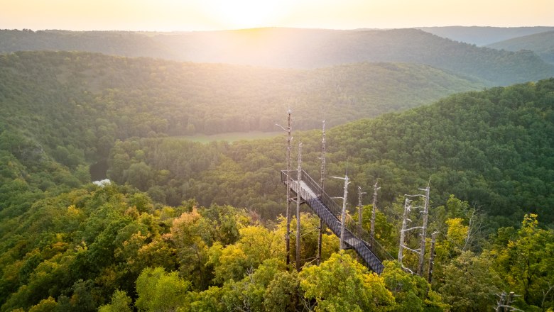 Aussichtswarte im Nationalpark Thayatal, © Andreas Häusler Aussichtsplattform im Wald mit Sonnenuntergang im Hintergrund.