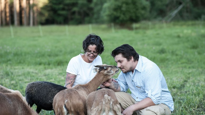 Die Kamerunschafe in der Edermühle - Schafe streicheln beruhigt, © Josef Herfert Die Kamerunschafe in der Edermühle - Schafe streicheln beruhigt, © Josef Herfert