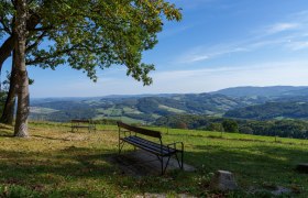 Hegerberg, © Josef Bollwein Hegerberg, © Josef Bollwein