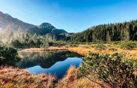 Naturschutzgebiet Leckermoor, © Heidi Zettel Naturschutzgebiet Leckermoor, © Heidi Zettel