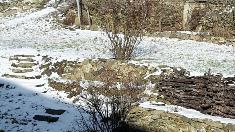 9b-wagenradplatzerl-winter, © Gabriele Prandstetter 9b-wagenradplatzerl-winter, © Gabriele Prandstetter