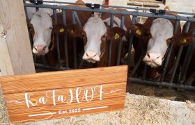 KaFaHof, © Martina Falkner KaFaHof, © Martina Falkner