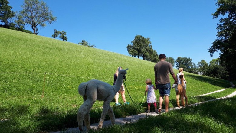 Spazieren entlang von Obstbäumen, © Stefanie Ecker Spazieren entlang von Obstbäumen, © Stefanie Ecker