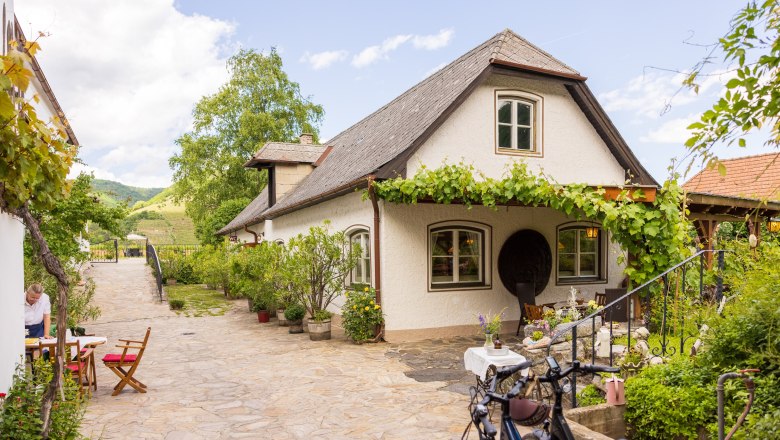 Weinhauer Brustbauer, © Florian Lechner Weinhauer Brustbauer, © Florian Lechner