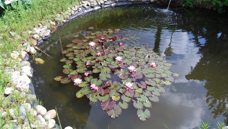 Gartenteich, © Privatzimmer Fam. Glaser Gartenteich, © Privatzimmer Fam. Glaser