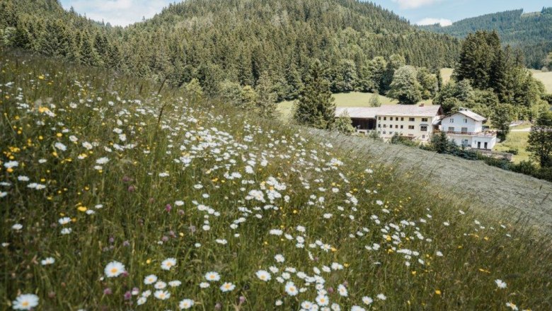 Biohof Teufel, © Gerald Demolsky Biohof Teufel, © Gerald Demolsky