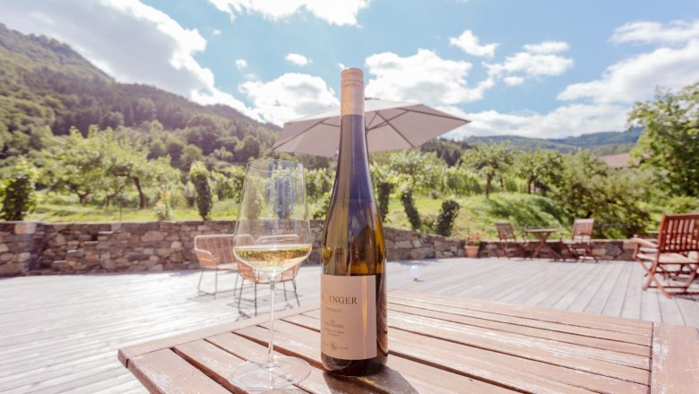 Ausblick von der Terrasse, © Weingut Rixinger Weinflasche und Glas auf Holztisch mit Blick auf Weinberge und Berge.