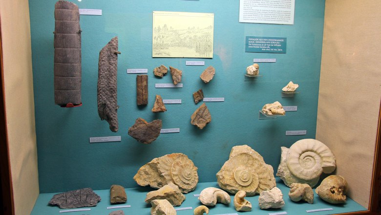 Belvedereschlössl/Bezirksmuseum Stockerau, © Stadtgemeinde Stockerau Ausstellung von Fossilien und Pflanzenresten im Bezirksmuseum Stockerau.