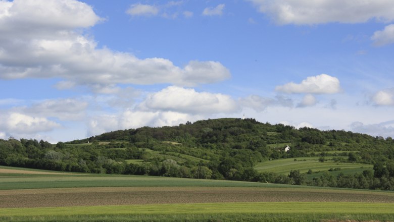 Niederhollabrunn, © Mag. (FH) Lea Seidl Landschaft mit Hügeln und Feldern unter blauem Himmel mit Wolken.