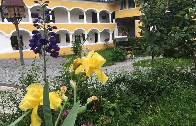 Weingut Arkadenhof, © Maria Hausdorf Weingut Arkadenhof, © Maria Hausdorf